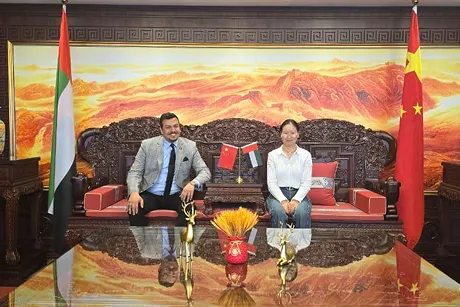 go-global-with-council